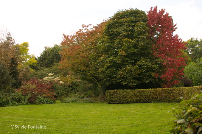 couleurs d'automne au jardin de sylvie fontaine à maroilles