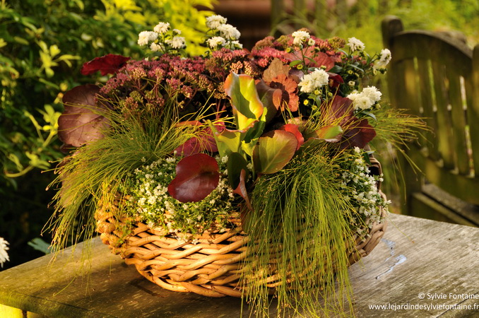 création aux couleurs de l'automne avec des plantes vivaces -sylvie fontaine