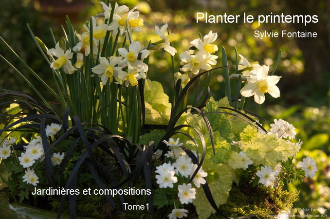 Cd-livre numérique-Planter le printemps -Jardinières et compositions