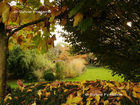 Jardin de Sylvie Fontaine à Maroilles en automne